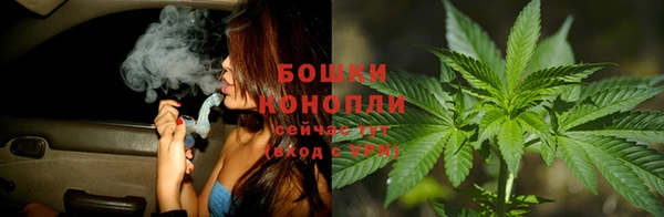 эйфоретик Пересвет