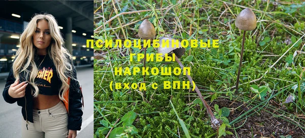 эйфоретик Пересвет
