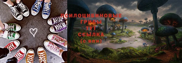 эйфоретик Пересвет