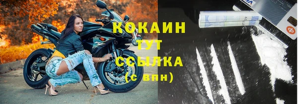 стафф Осташков