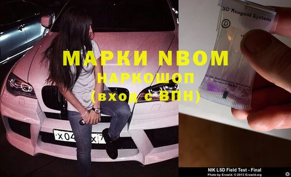эйфоретик Пересвет