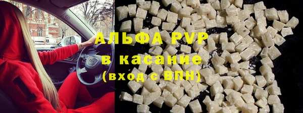 эйфоретик Пересвет
