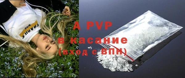 эйфоретик Пересвет