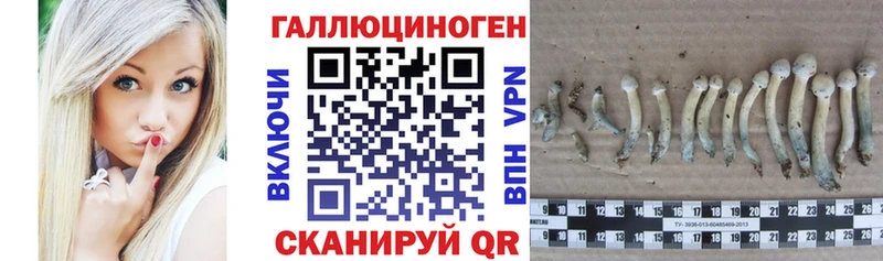 Псилоцибиновые грибы GOLDEN TEACHER  mega маркетплейс  Кологрив  как найти закладки 
